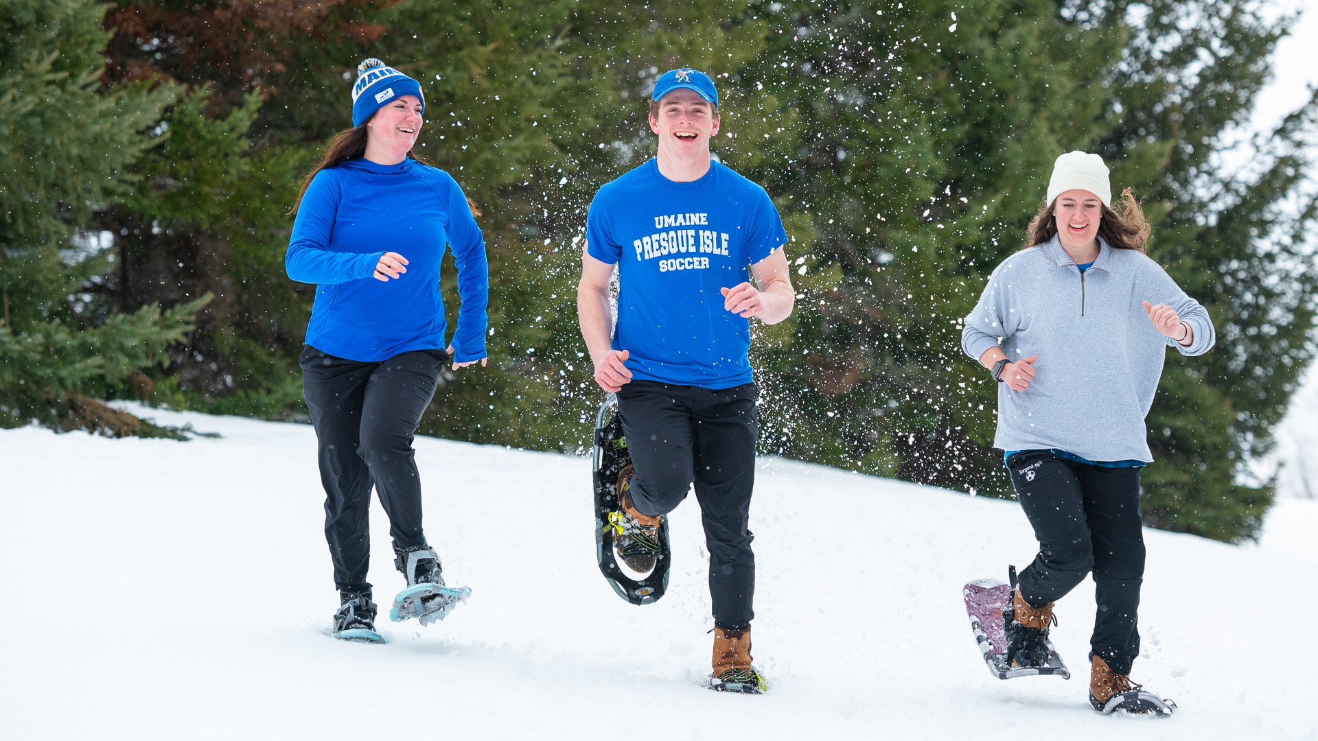 University of Maine Presque Isle 
